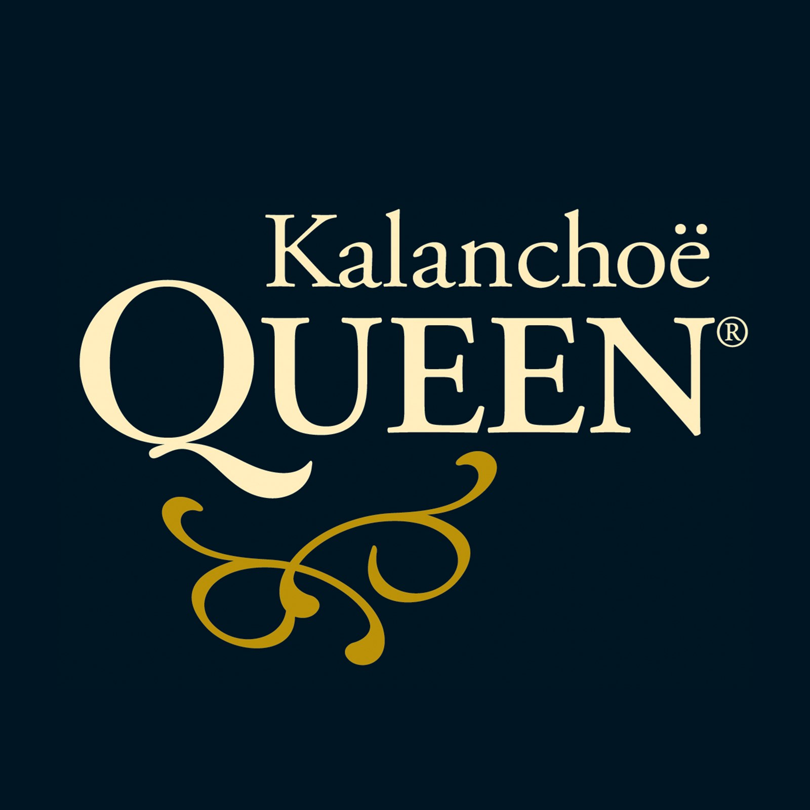 Gammelt Queen Logo