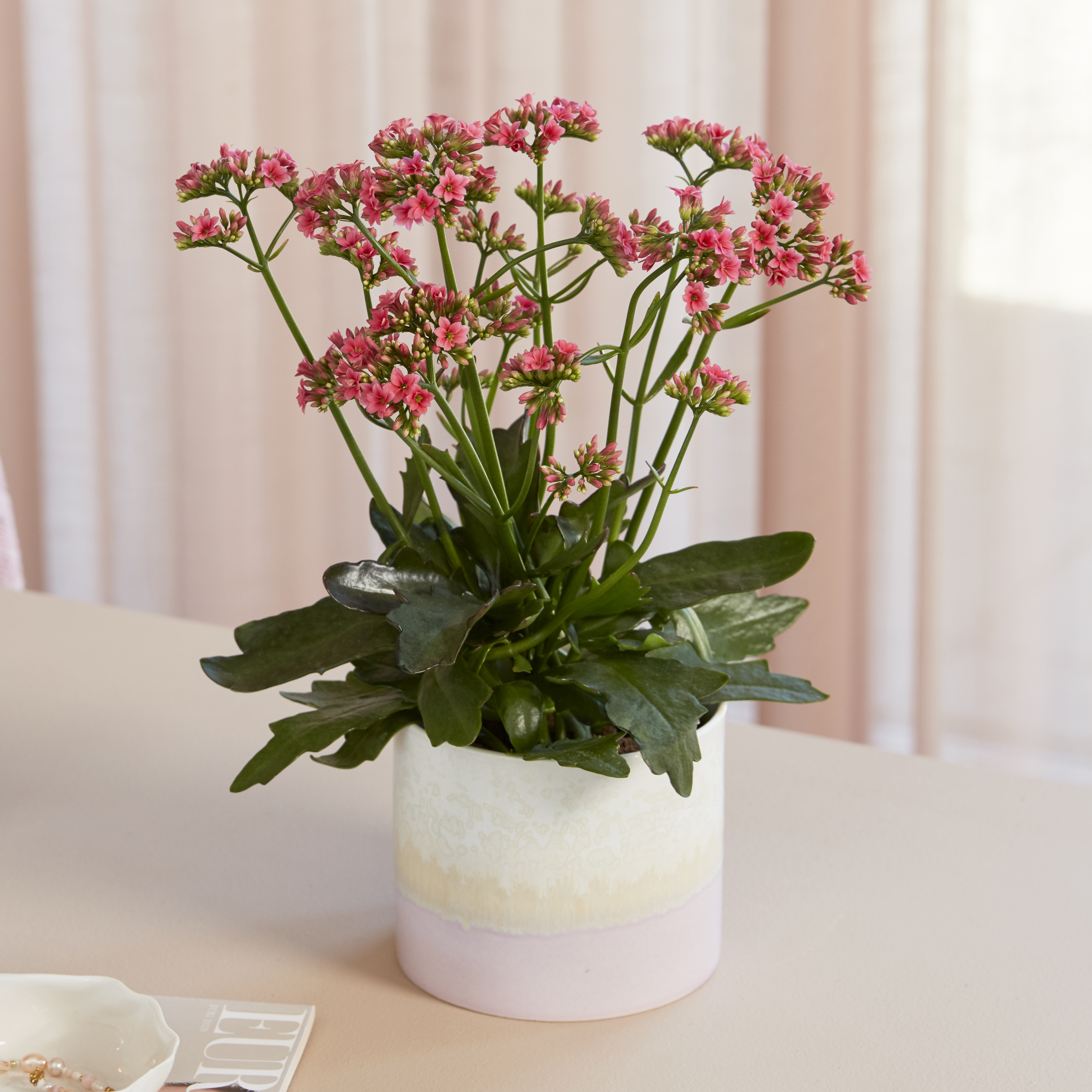 Queen<sup>®</sup> Wildflowers