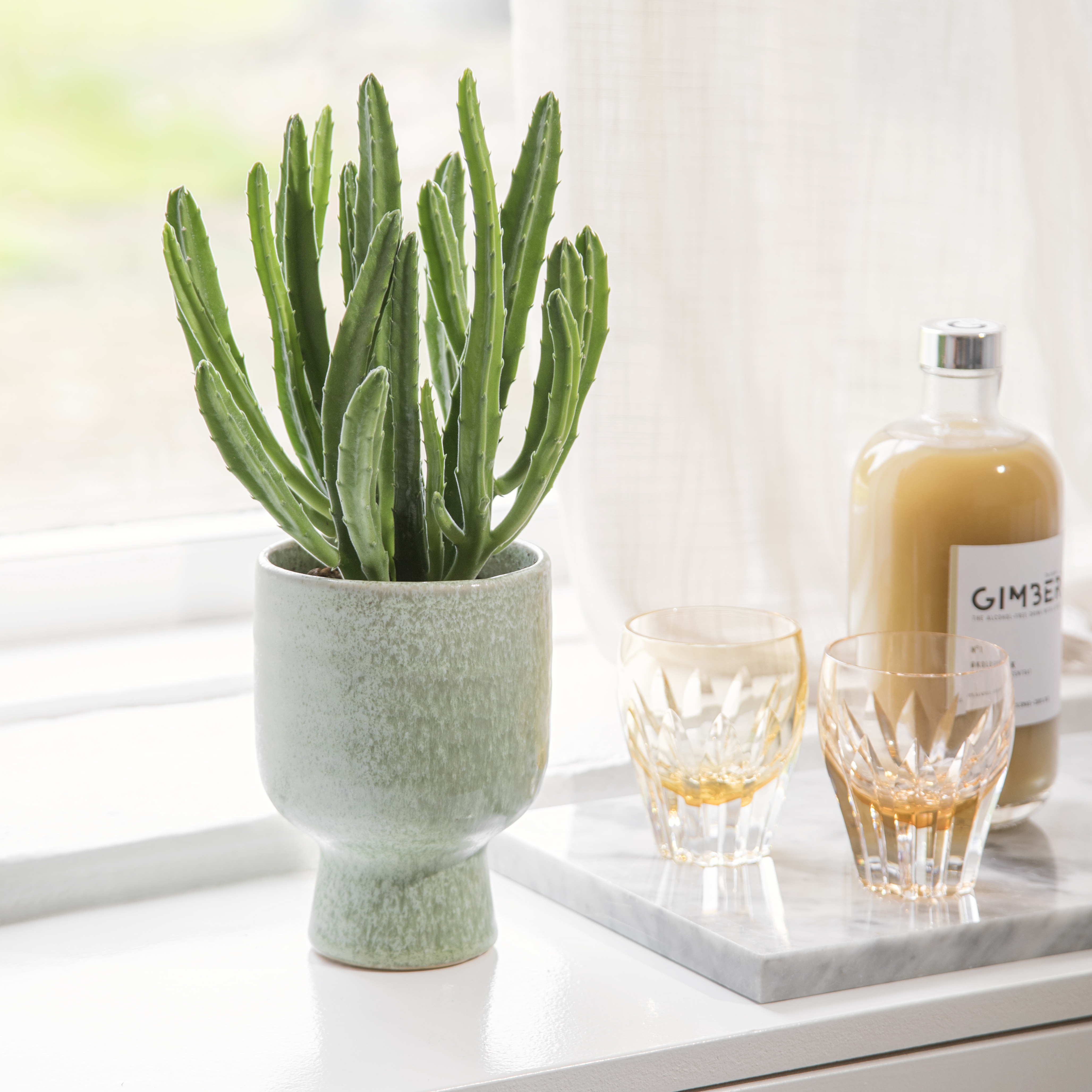 Latest Queen® Flowers news B2B portal